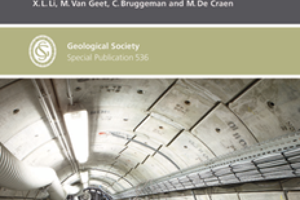 special issue